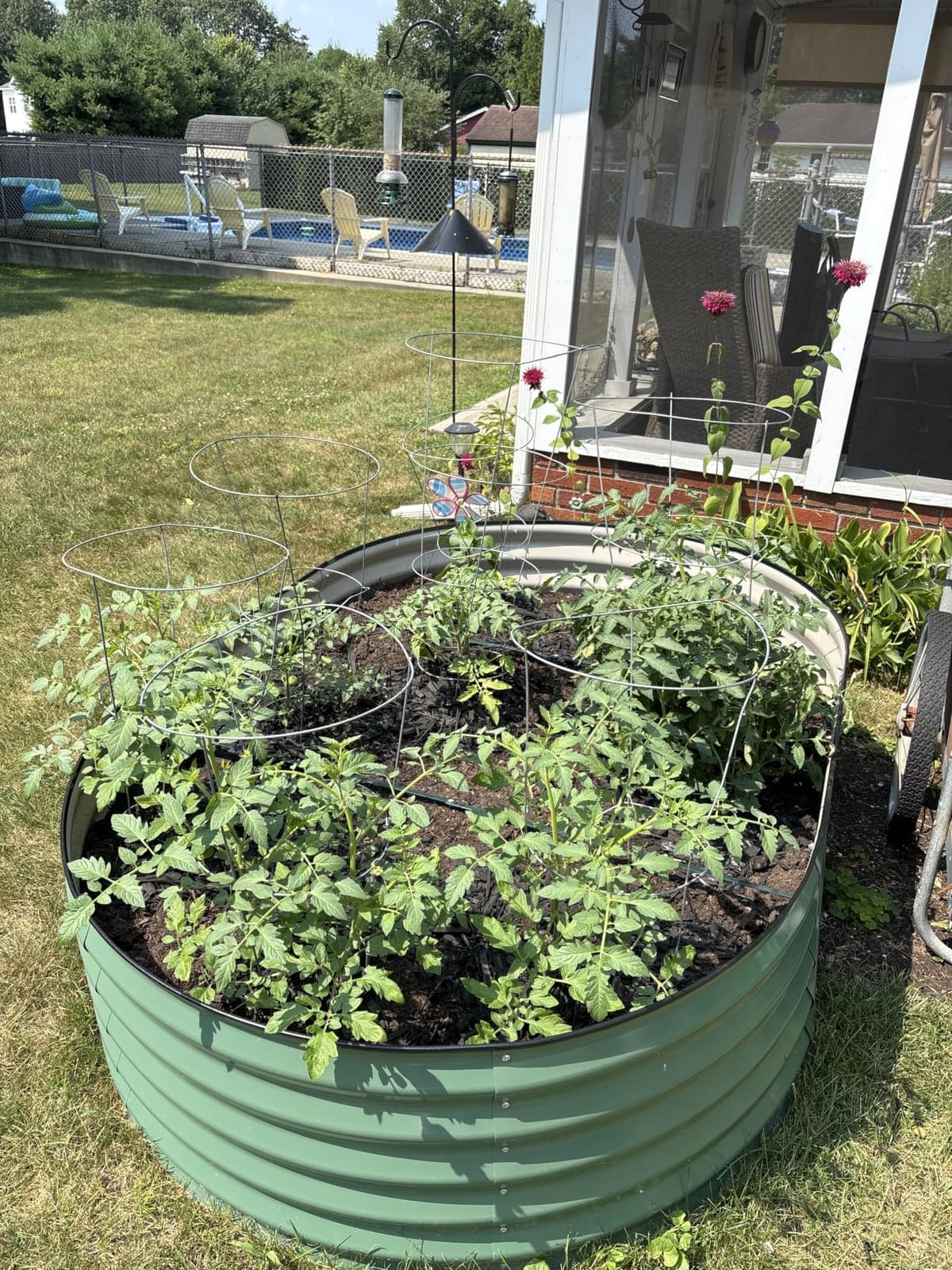 Garvee 2 Pack 8x4x2ft Galvanized Raised Garden Bed, Oval Metal Planter Box customer photo 2