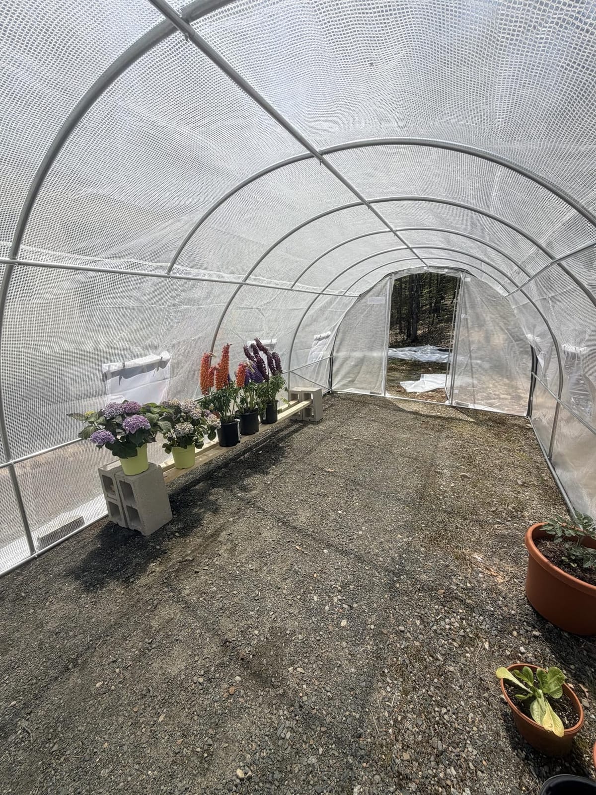 Quictent 20x10x6.6FT Tunnel Greenhouse for Outdoors with 2 Hinged Doors customer photo 1