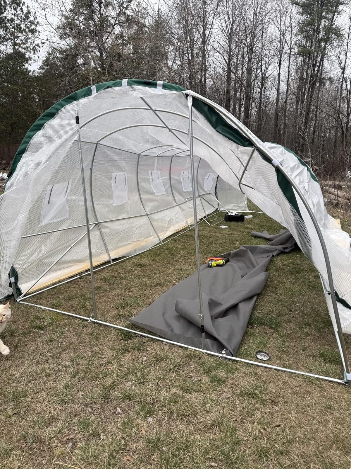 Quictent 20x10x6.6FT Tunnel Greenhouse for Outdoors with 2 Hinged Doors customer photo 2