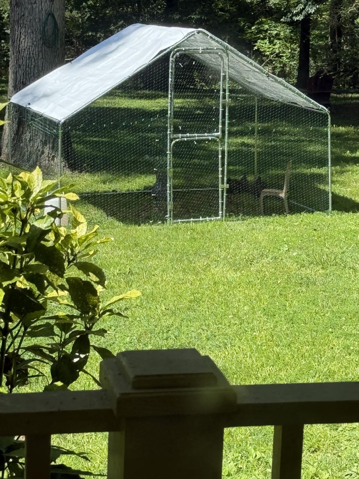 UDPATIO Large Metal Chicken Coop Walk in Run House Pen Galvanized Frame customer photo 1