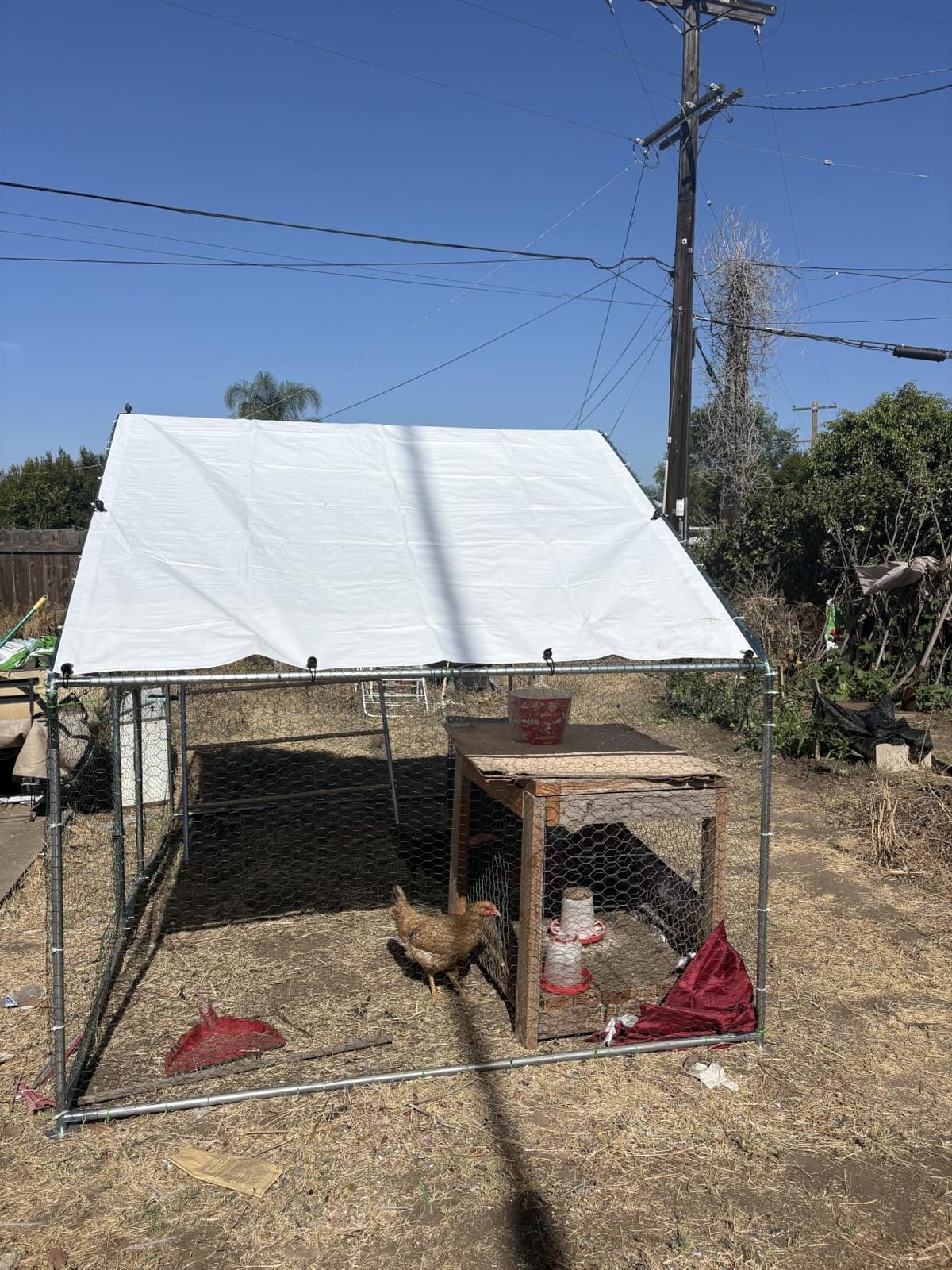 UDPATIO Large Metal Chicken Coop Walk in Run House Pen Galvanized Frame customer photo 2