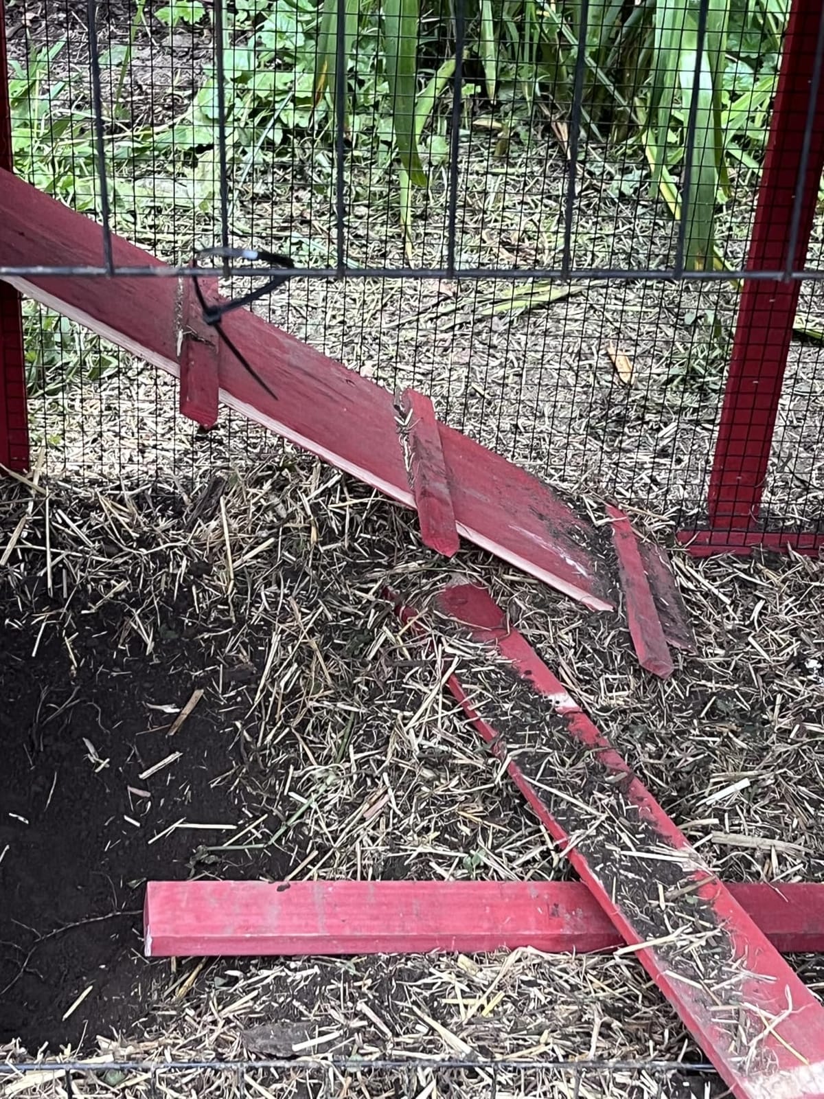 Extra Large Mobile Chicken Coop with Run, Portable Chicken Tractor with Wheels, 76.7