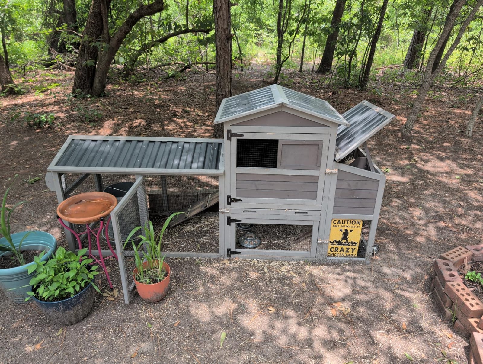 Aivituvin Mobile Chicken Coop with Wheels for 4-6 Chickens, Backyard Expandable Chicken House Duck Cage with Run, 2 Nesting Boxes, Easy Clean Pull-Out Tray, Leak-Resistant Asphalt Roof, 82.4