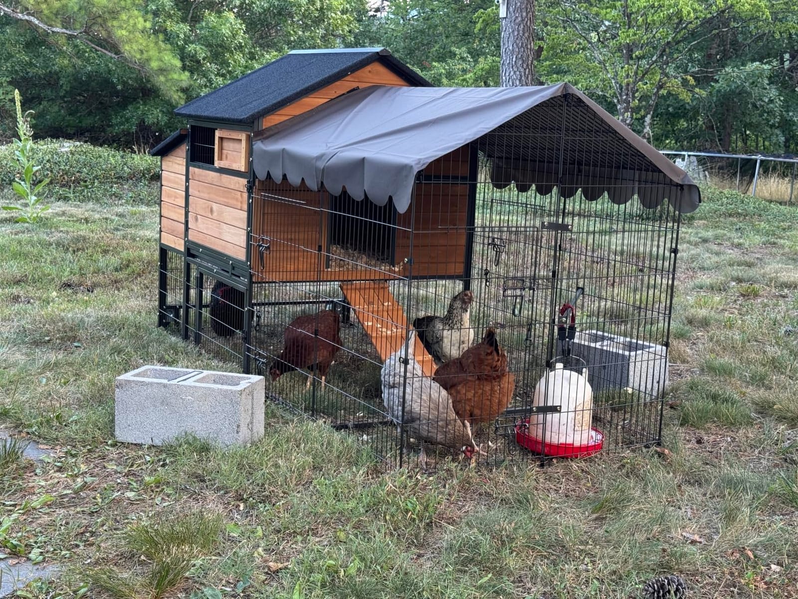 Large Chicken Coop for 6-8 Chickens, Mobile Chicken Tractor with Wheels and Sturdy Metal Frame, Nesting Box and Pull-Out Tray, Weatherproof Hen House for Backyard Farm Garden, Easy to Clean & Assemble customer photo 1