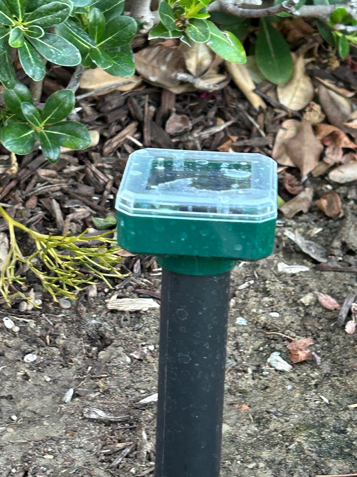 8 Pack Mole Repellent Solar Powered, Waterproof Vole Chipmunk Repellent Outdoor,Ultrasonic Gopher Repeller for Lawn Garden, Mole Deterrent,Groundhog Repeller, Snake customer photo 2