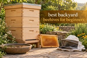 best backyard beehives for beginners
